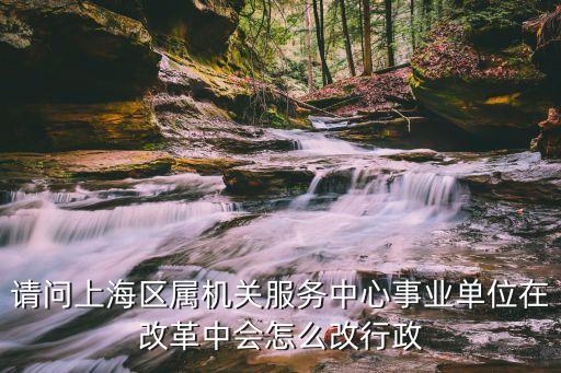 上海市行政機(jī)構(gòu)改革方案，閔行區(qū)鄉(xiāng)鎮(zhèn)機(jī)構(gòu)改革