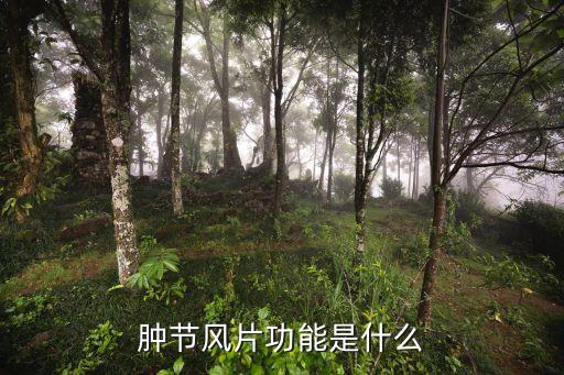 腫節風片，腫節風片功能是什么