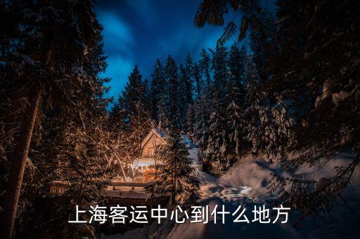 上海市營業客車運營中心，上海客運中心到什么地方