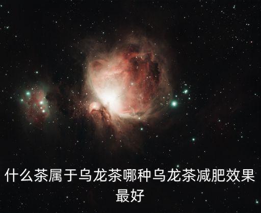 烏龍茶種類，哪些茶屬于烏龍茶
