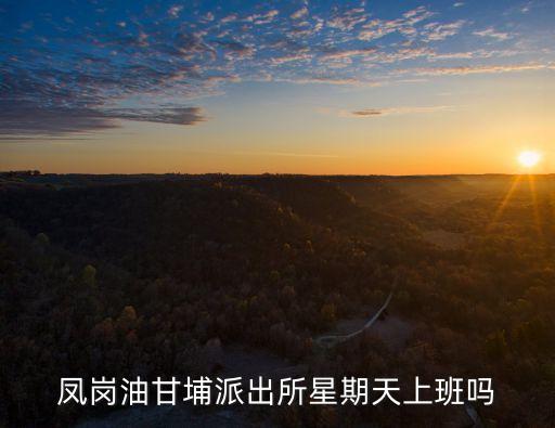 廣州古田鳳埔派出所，鳳崗油甘埔派出所星期天上班嗎
