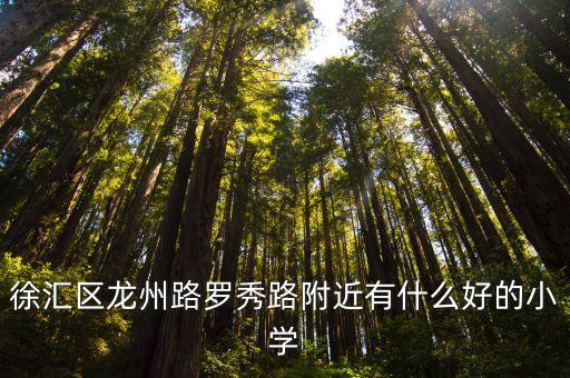 上海市徐匯區(qū)園南小學(xué)地址，上海徐匯區(qū)上中路園南三村21號(hào)是什么街道
