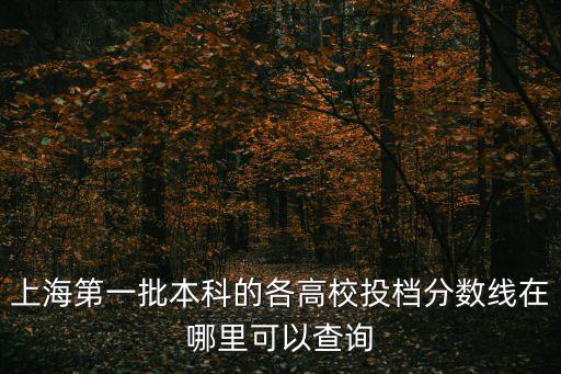 上海市本科批投檔線(xiàn)，上海市各校二本投檔分?jǐn)?shù)線(xiàn)是多少