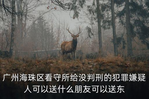 廣州海珠區(qū)看守所給沒判刑的犯罪嫌疑人可以送什么朋友可以送東