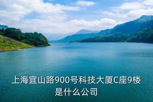 上海市科夢投資有限公司，上海宜山路900號科技大廈C座9樓是什么公司