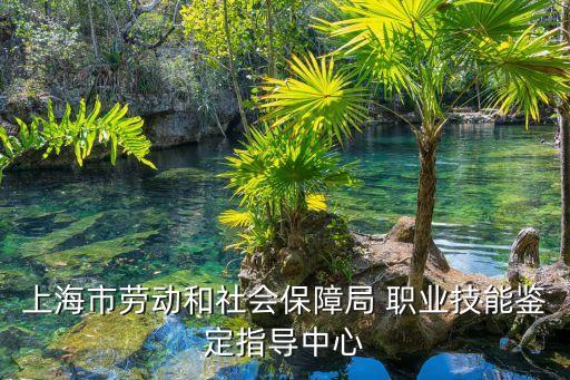 上海市勞動力鑒定機構，上海市勞動能力鑒定中心