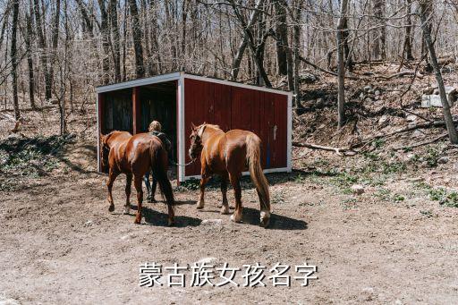 蒙古名字女孩，大家?guī)臀夜媚锶€蒙古族名字推薦好聽的名字吧拜托