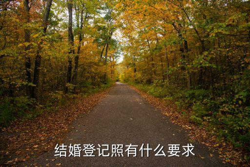 上海市結婚登記照要求，結婚登記照有什么要求