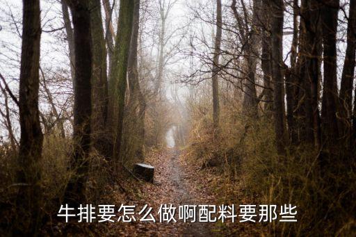 煎牛排怎么做，維也納煎牛排怎么做