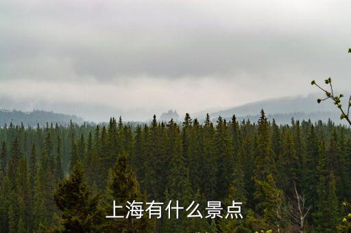 上海市內(nèi)的景點有哪些地方，上海市內(nèi)的景點有哪些