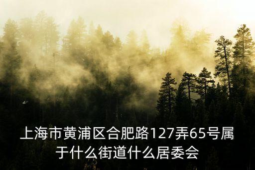 上海市合肥路127號(hào)，上海合肥路在那里