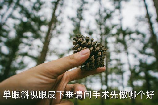 上海市兒童醫院瀘定路眼科鄭策，單眼斜視眼皮下垂請問手術先做哪個好