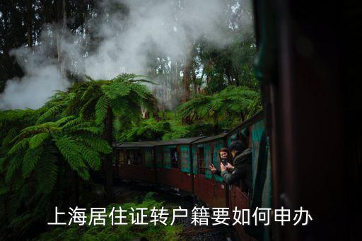 上海市居轉戶門戶，上海居轉戶要求