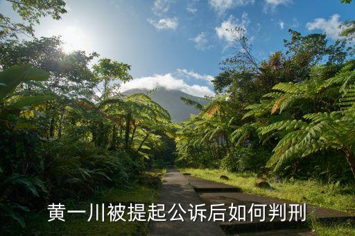 上海市南市區事件 流氓罪，揚佳在上海襲警被判了什么罪