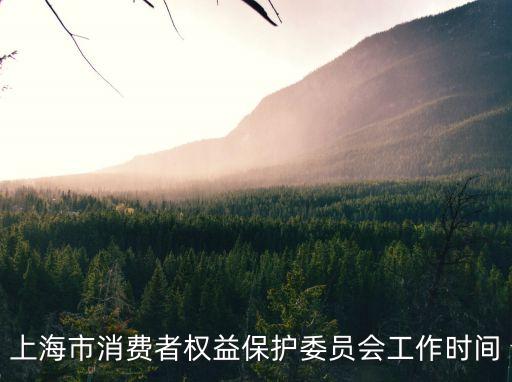 上海市消費權益保護協會，上海消費者協會電話是12315那其他地區也一樣嗎