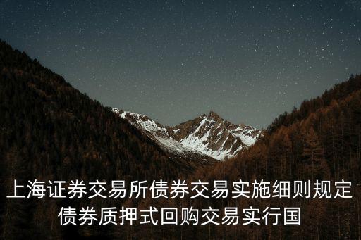 上海市相對集中管理條例，上海市經濟適用房申請條件