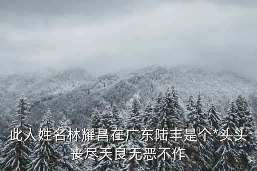 此人姓名林耀昌在廣東陸豐是個*頭頭喪盡天良無惡不作