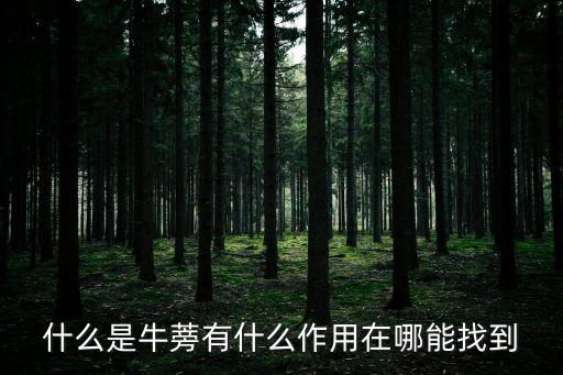 牛蒡，牛蒡是什么
