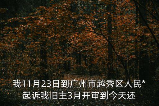 廣州老賴王宜南，我11月23日到廣州市越秀區人民*起訴我舊主3月開審到今天還