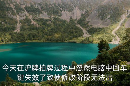上海市非營業客車額度模擬，2016上海汽車額度拍賣8月拍賣時間
