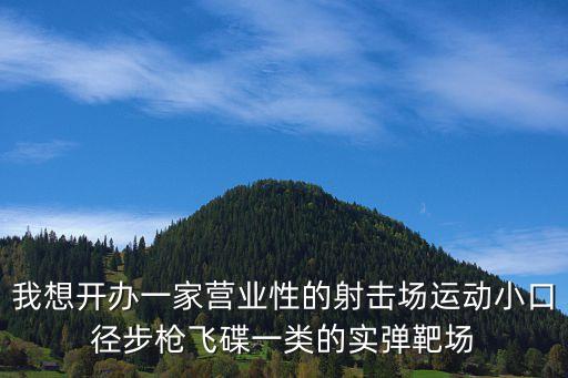 上海市營業性射擊場所許可證，開辦娛樂性射擊場需要哪些手續