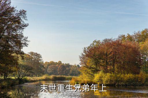 年上，求清朝四阿哥攻八阿哥受的耽美文兄弟年上結(jié)局HE已完結(jié)的類