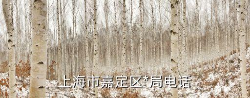 上海市羅店鎮派出所電話，上海市閔行區*局電話號碼和分機號