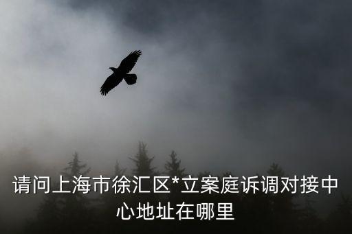 上海市徐匯區(qū)*咨詢，徐匯區(qū)第一中級(jí)人民*地址