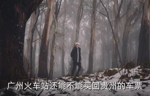廣州回貴州最新通告，廣州火車站還能不能買回貴州的車票