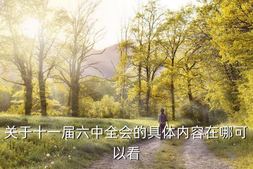 上海市委十一屆六次全會講話，關于十一屆六中全會的具體內容在哪可以看