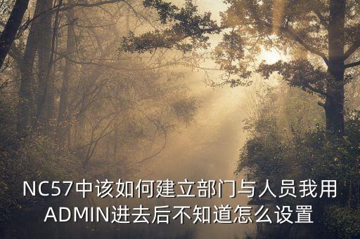 NC57中該如何建立部門與人員我用ADMIN進去后不知道怎么設置