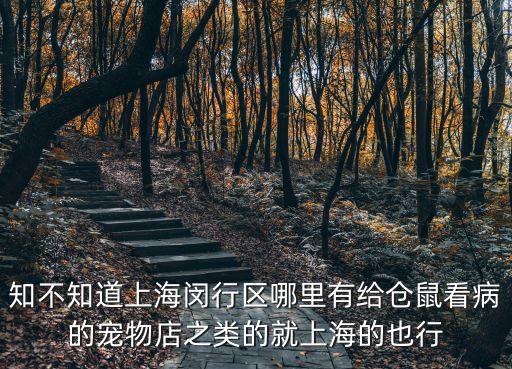 2019年 上海市閔行區(qū)掃黃，上海市閔行區(qū)吳中路1050號盛世蓮花廣場A幢一號門901事什麼公司