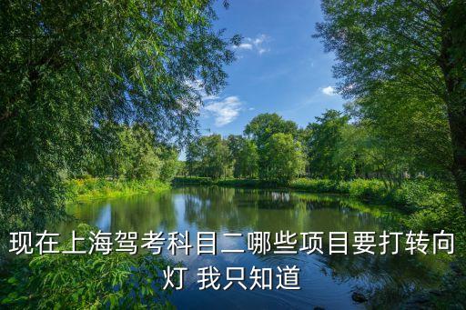上海市駕駛員考試科目二考試內容，考駕駛證科目二主要有什么