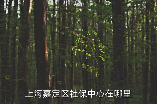 上海嘉定區社保中心在哪里