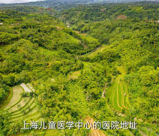 上海市兒童醫院青浦分院選址，上海兒童醫學中心的醫院地址