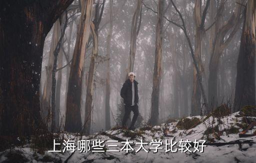 罵上海市教委的文章，上海哪些三本大學比較好