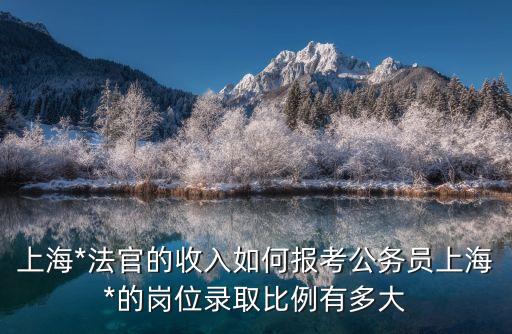 上海市 法官 招錄 條件，上海*法官的收入如何報考公務員上海*的崗位錄取比例有多大