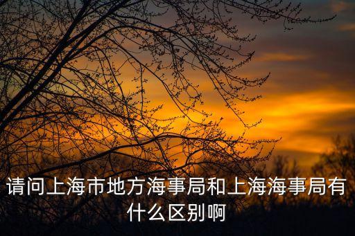 請問上海市地方海事局和上海海事局有什么區別啊