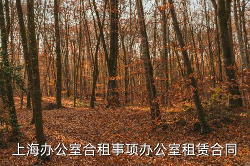 上海市辦公租房合同，上海租房合同怎么寫
