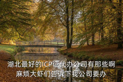 沃金廣州，湖北最好的ICP證代辦公司有那些啊麻煩大蝦們告訴下我公司要辦
