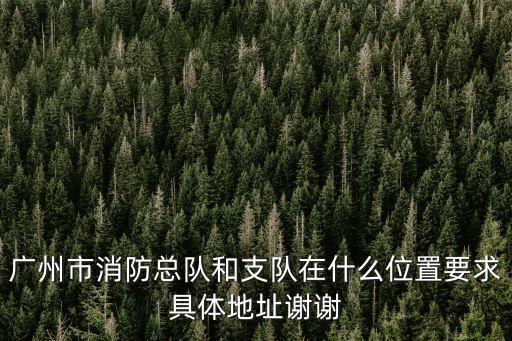 廣州市消防總隊(duì)和支隊(duì)在什么位置要求具體地址謝謝