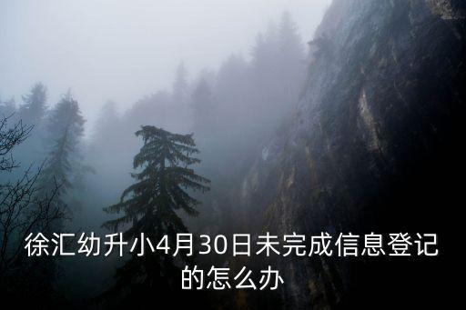 2019年上海市徐匯區(qū)幼升小，外地在上海上學(xué)怎么報(bào)名小學(xué)一年需要什么手續(xù)急謝謝在徐