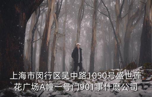 上海市閔行區(qū)吳中路1050號(hào)盛世蓮花廣場(chǎng)A幢一號(hào)門901事什麼公司