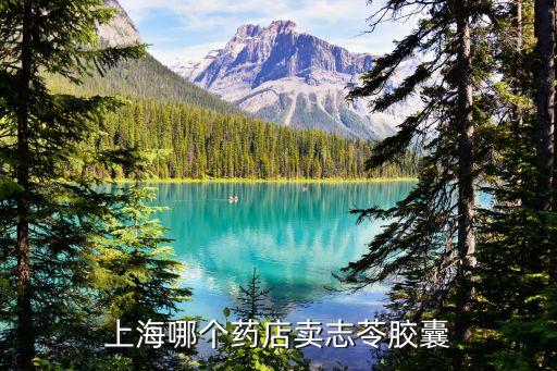 上海市志苓膠囊，志苓膠囊是否是醫療保障用藥農醫保或城鎮醫保可以報銷嗎