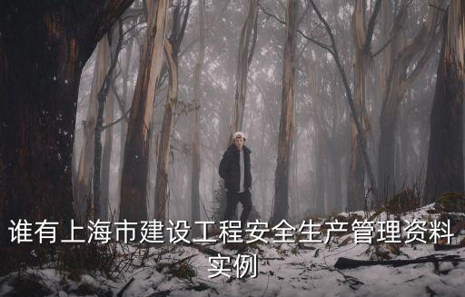 誰有上海市建設工程安全生產管理資料實例