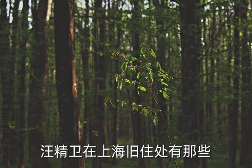 民進上海市委 當選，汪精衛在上海舊住處有那些