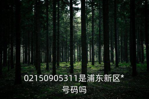 上海市各區(qū)人民*地址電話，徐匯區(qū)第一中級(jí)人民*地址