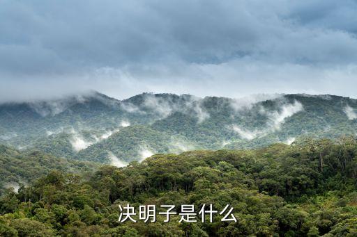 決明子，什么是決明子