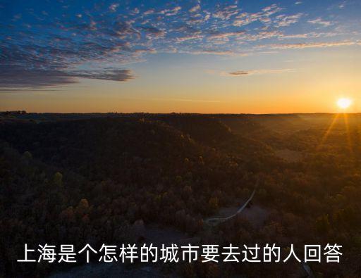 怎么向別人描述上海市，有誰能竟可能多的用一些形容詞來形容上海這座城市啊謝謝