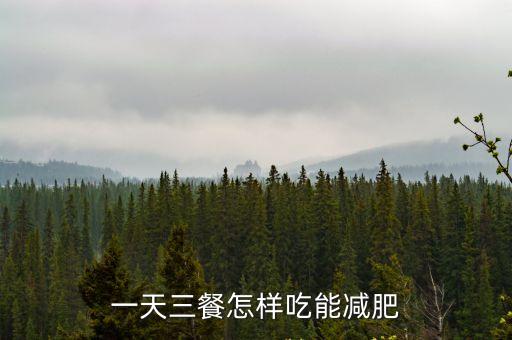 減肥套餐食譜三餐，三餐吃什么減肥又營養